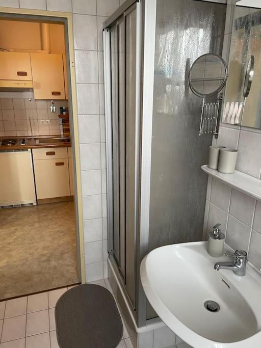 Apartment In Den Bergen バート・グリースバッハ エクステリア 写真