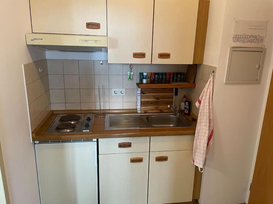 Apartment In Den Bergen バート・グリースバッハ エクステリア 写真